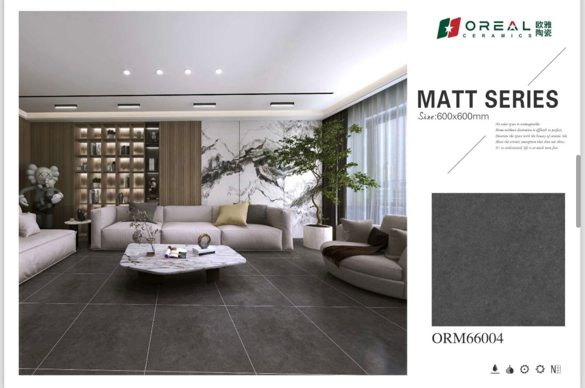 ORM66004 Matt Tiles (24*24)