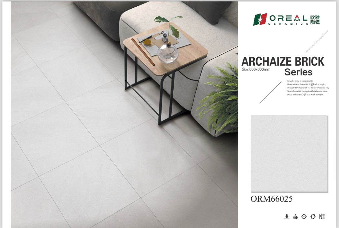 ORM66025 Matt Tiles (24*24)