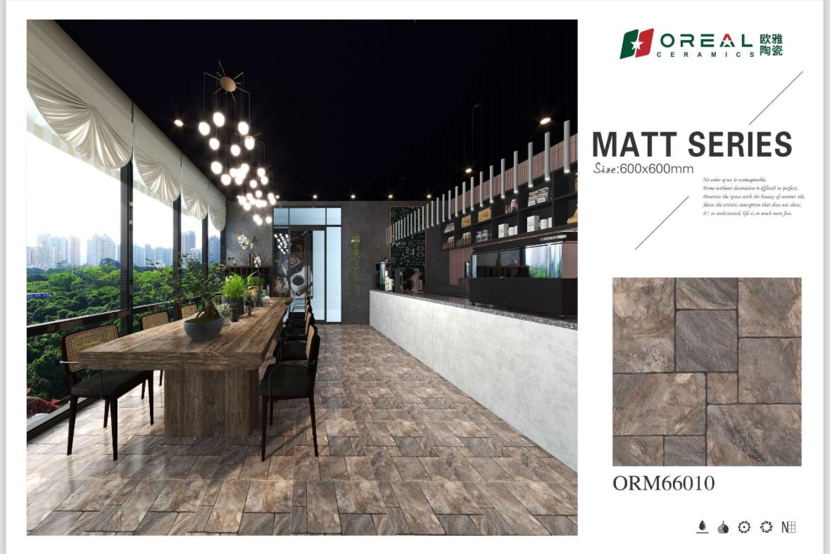ORM66010 Matt Tiles (24*24)