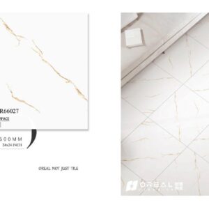 OR66027 Polish Tiles (24*24)