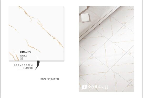 OR66027 Polish Tiles (24*24)