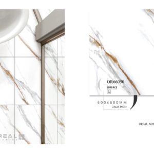 OR66050 Polish Tiles (24*24)