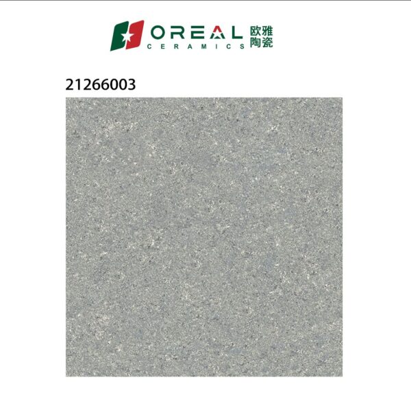 21266003 Polish Tiles (24*24)