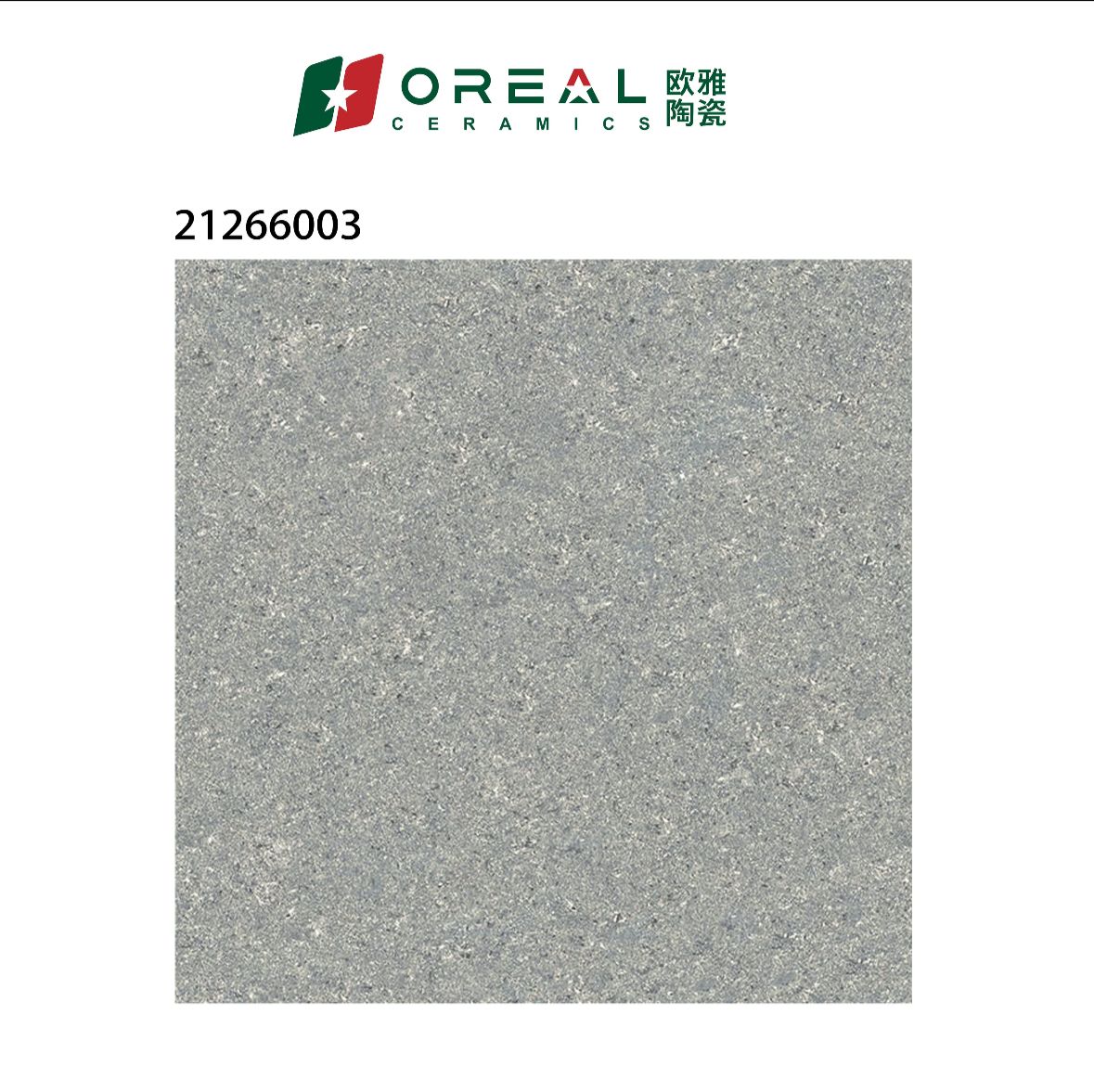 21266003 Polish Tiles (24*24)
