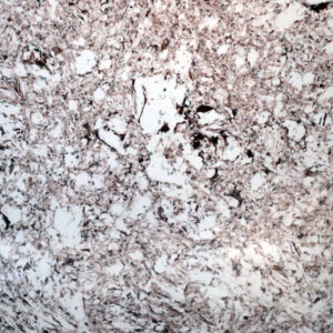 Fish Valley - Imported Granite