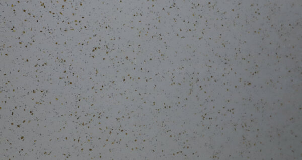 Star White - Imported Granite - Image 2