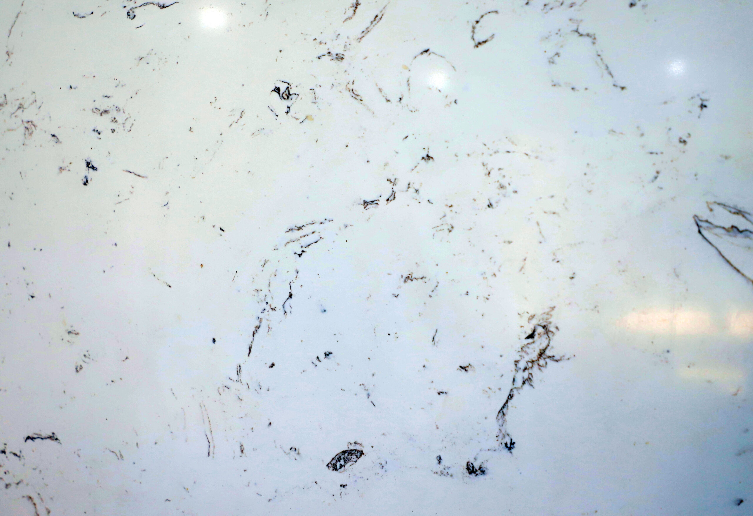 Structure White - Imported Granite