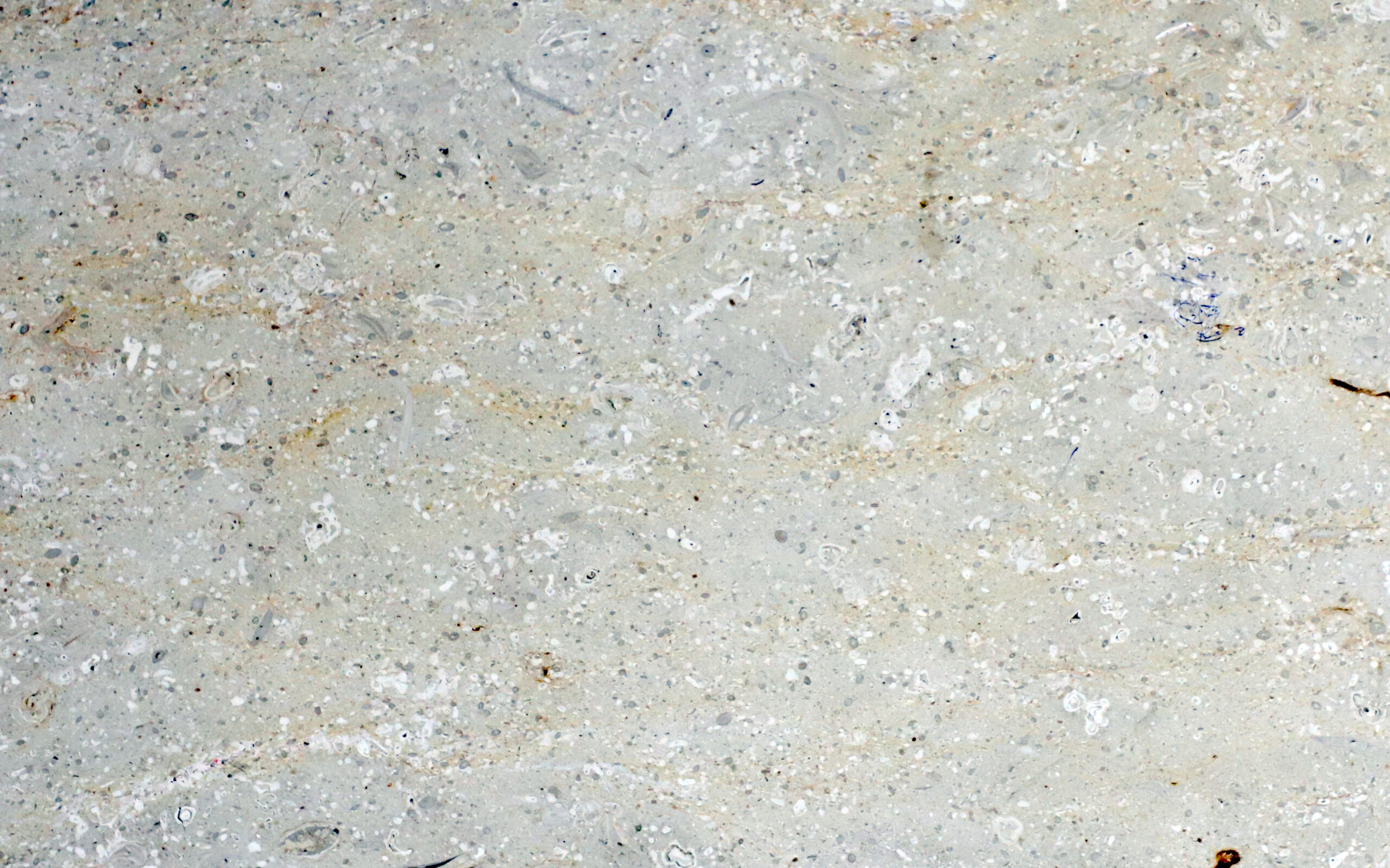 Flower flooring - Marble