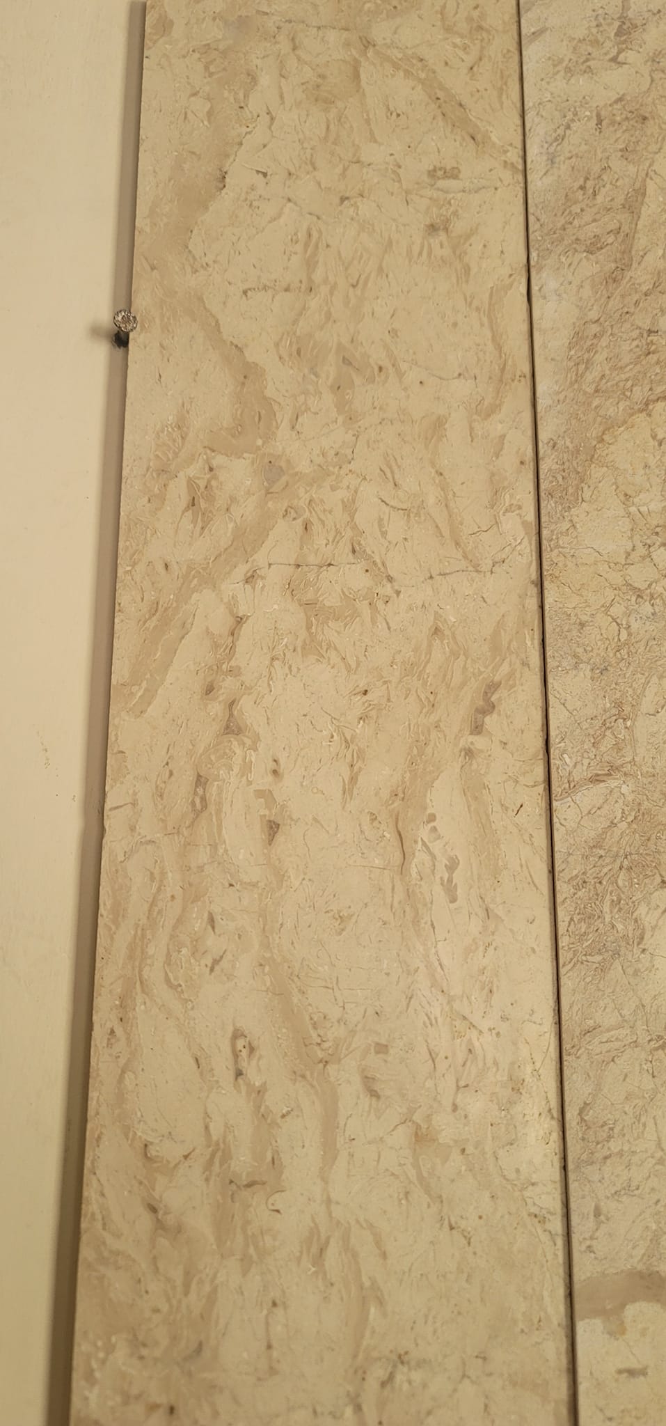 Loralai Careem - Floring Marble